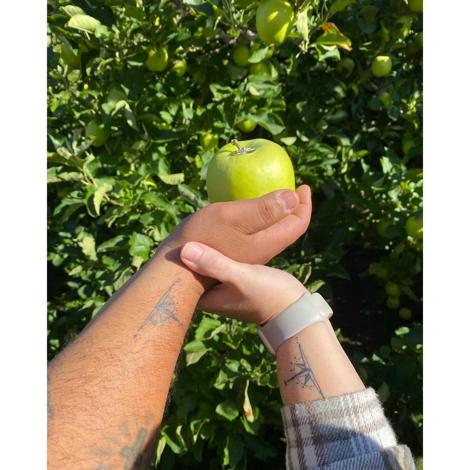 I said "YES"