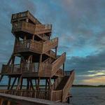 Port Royal Boardwalk and Observation Tower