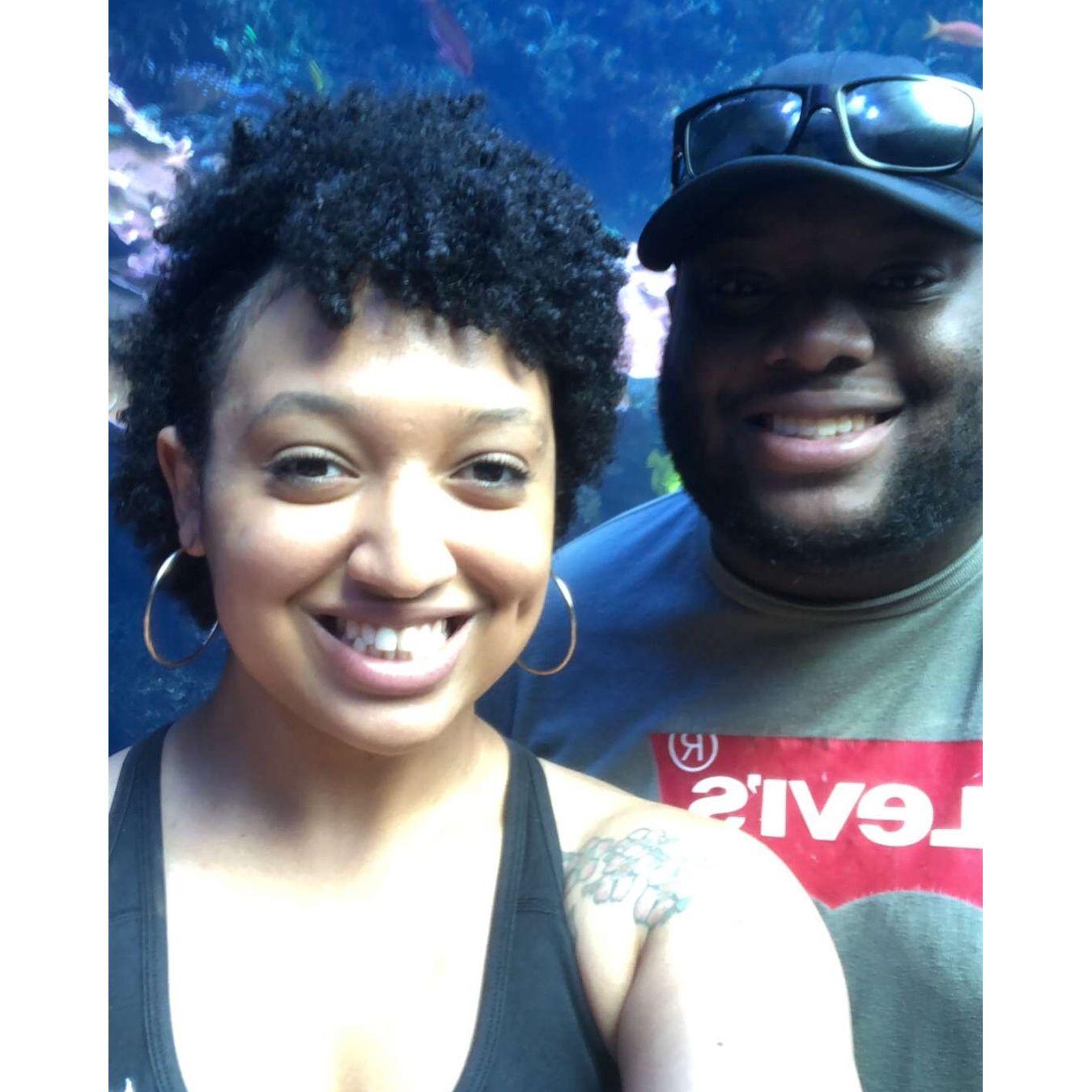 2018 - Georgia Aquarium