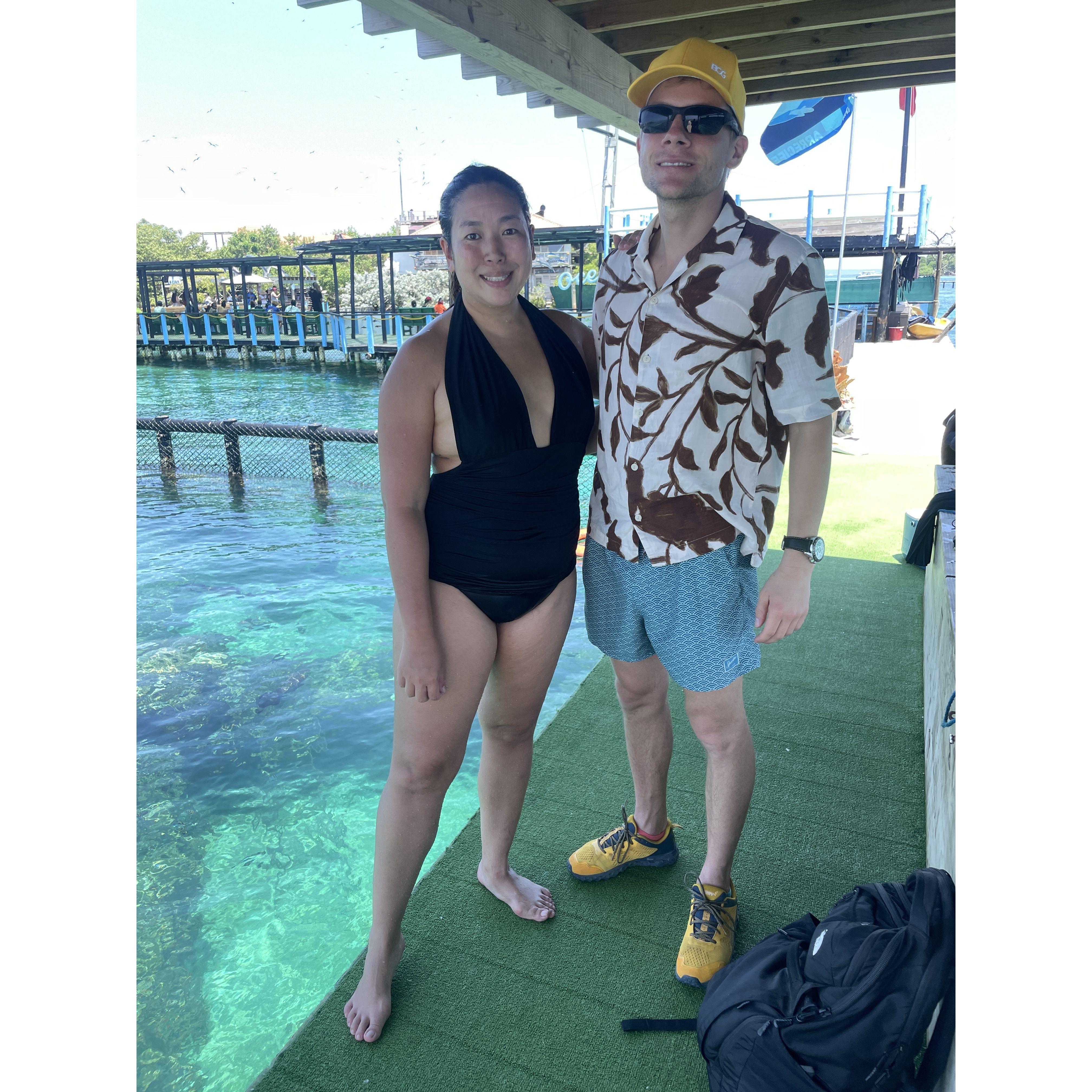 Going to swim with sharks.