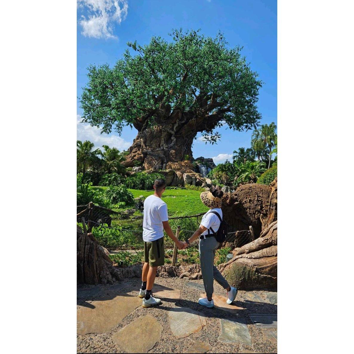 "The Proposal"