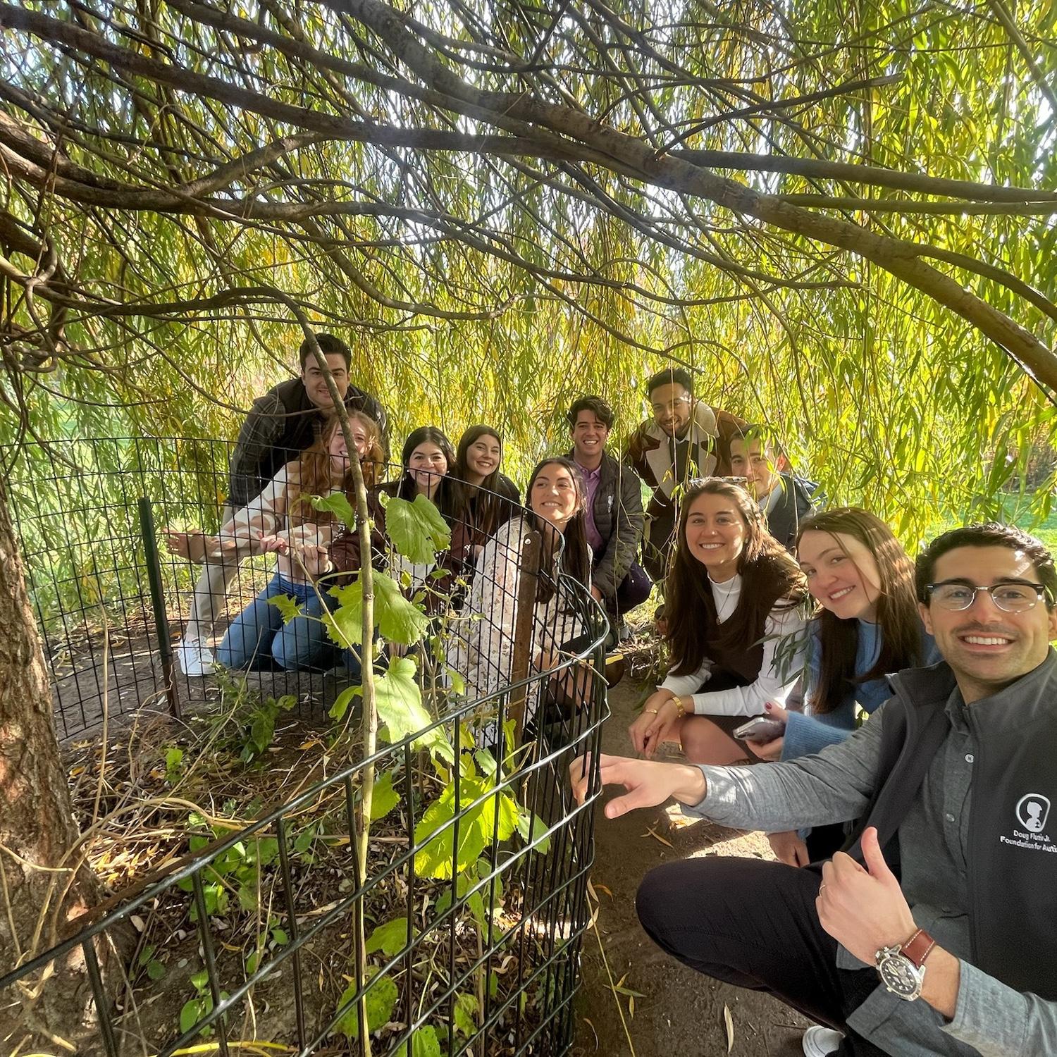All of our friends hiding in a tree to surprise us!