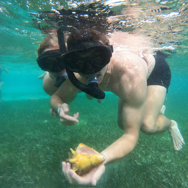 Snorkeling and Dive Adventure on our Honeymoon