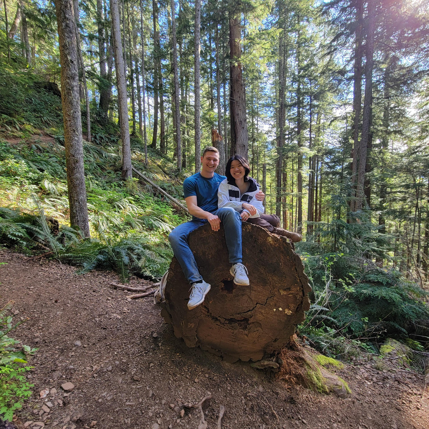 Big tree