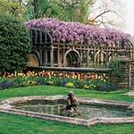 Dumbarton Oaks