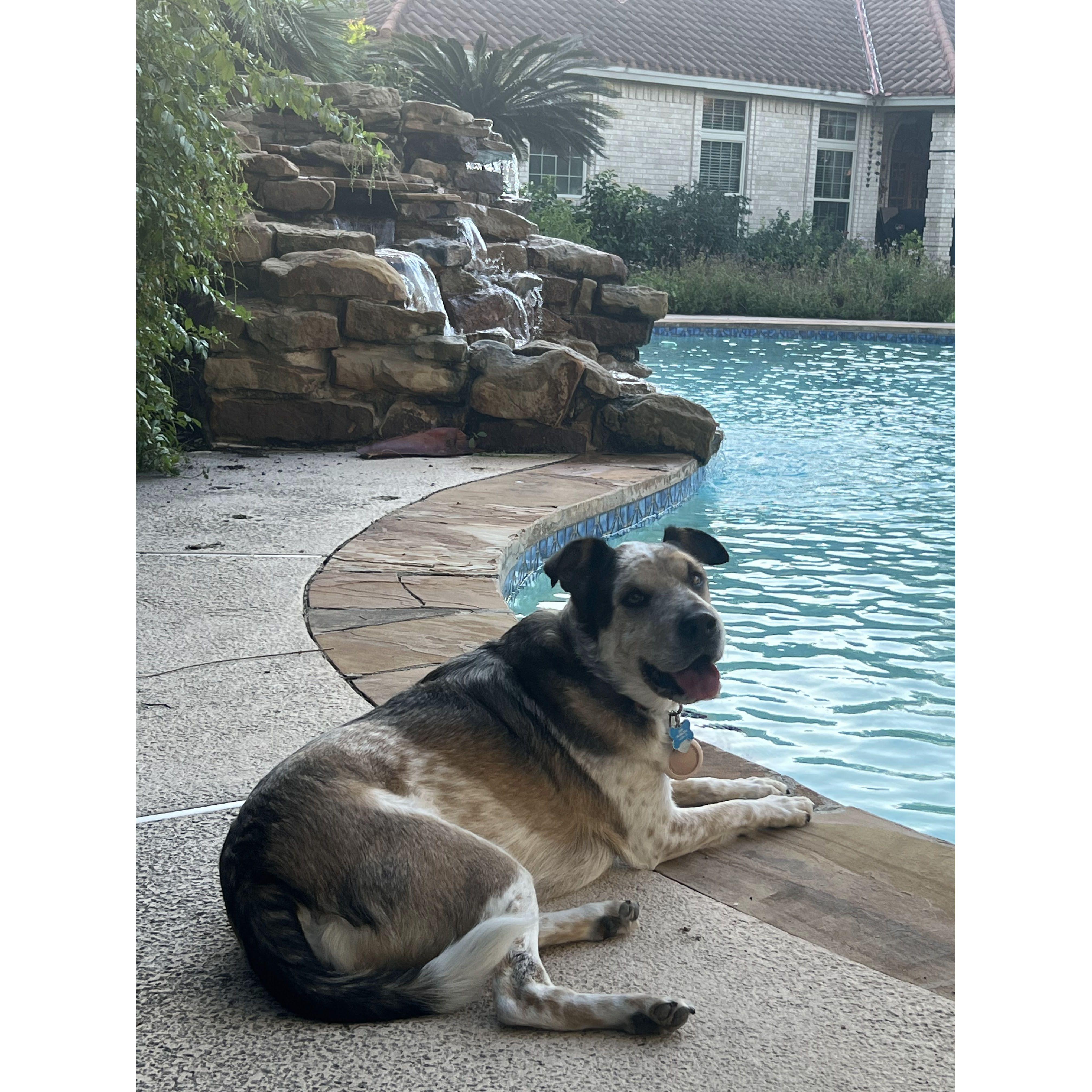poolside Lexie