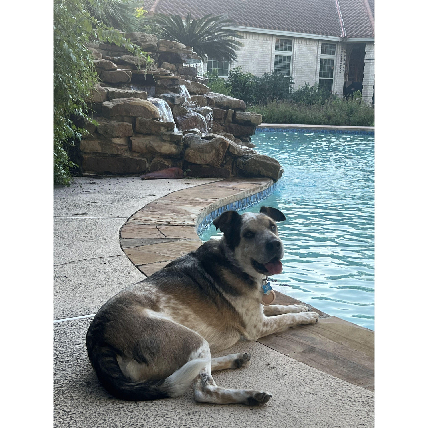 poolside Lexie