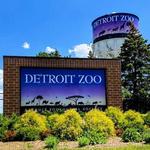 Detroit Zoo