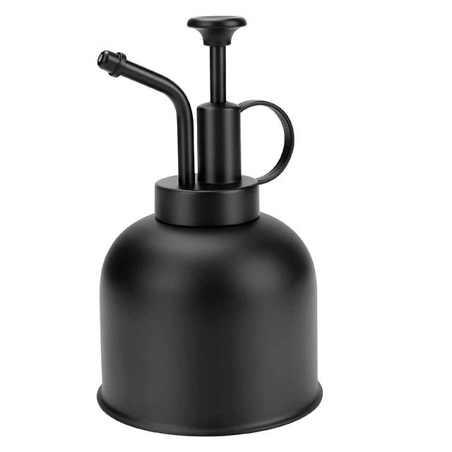 Globalstore Stainless Steel Watering Can, Upgrade Mini Plant Spray Mister 10oz/300ml Watering Pot for Outdoor Indoor Gardening Plant (Matte Black)