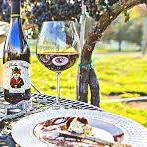 Fox Hollow Vineyards