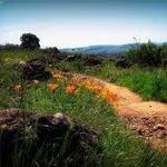 Sonoma Overlook Trail
