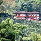 Fincas Cafeteras