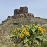 Twin Sisters hike at Walulla Gap