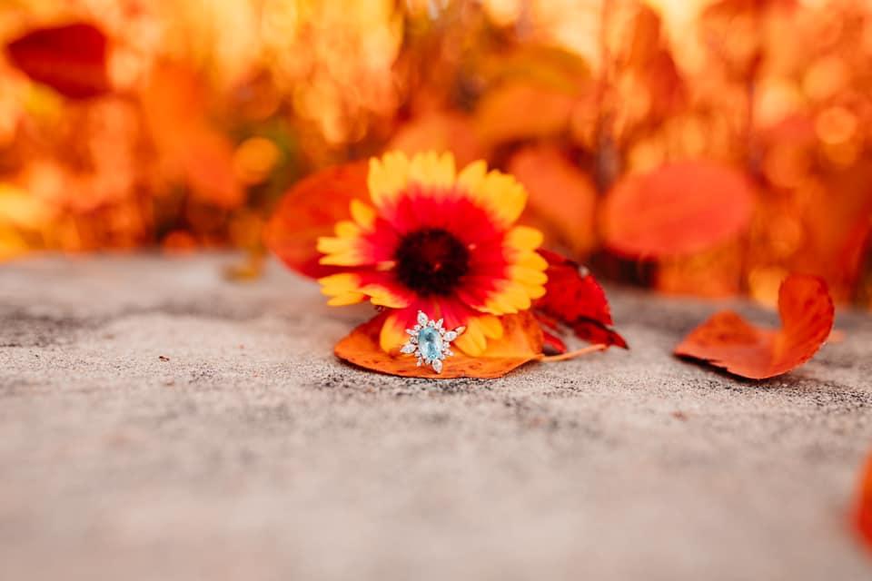 The Wedding Website of Ashley Van Horne and Marcos Parra
