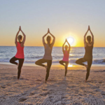 Pelican Grand Daily Activities
