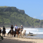 Tropical Trail Rides
