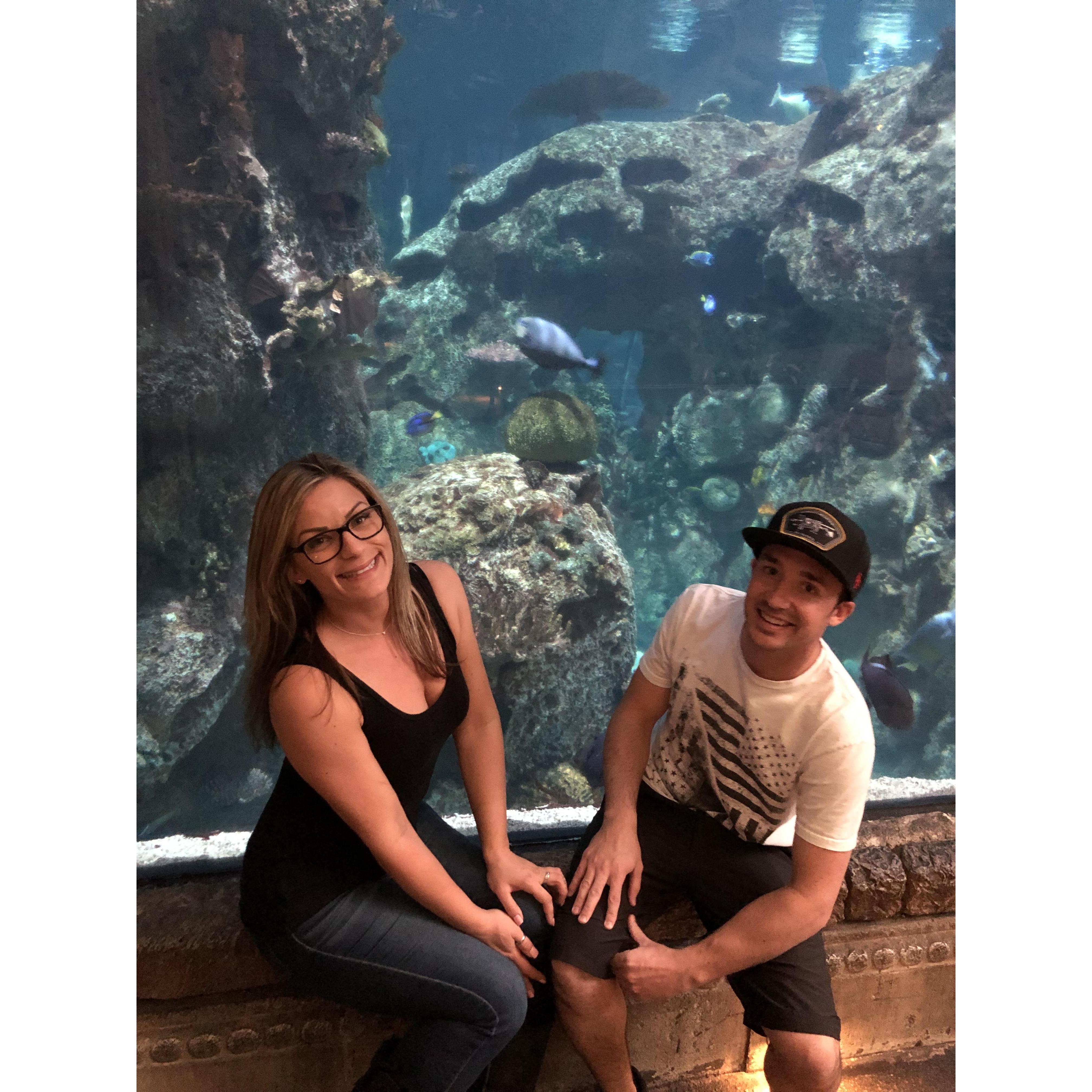 Our First Trip