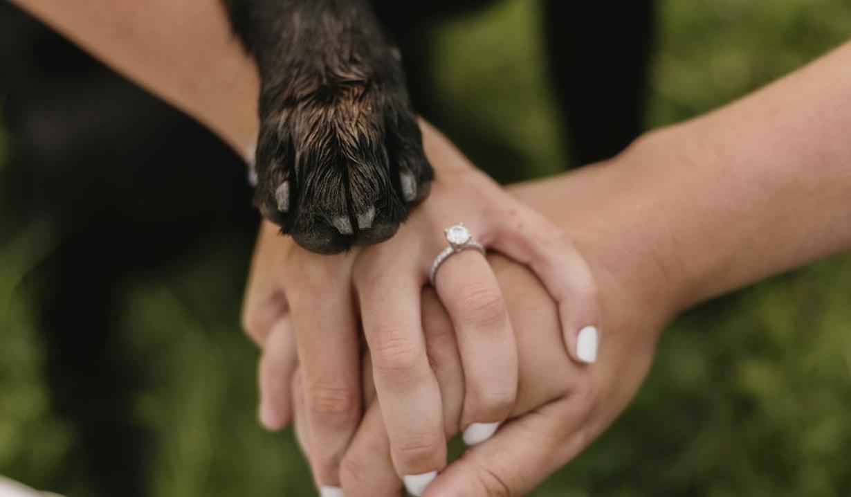 The Wedding Website of Bradford Merrill and Ashli Worden