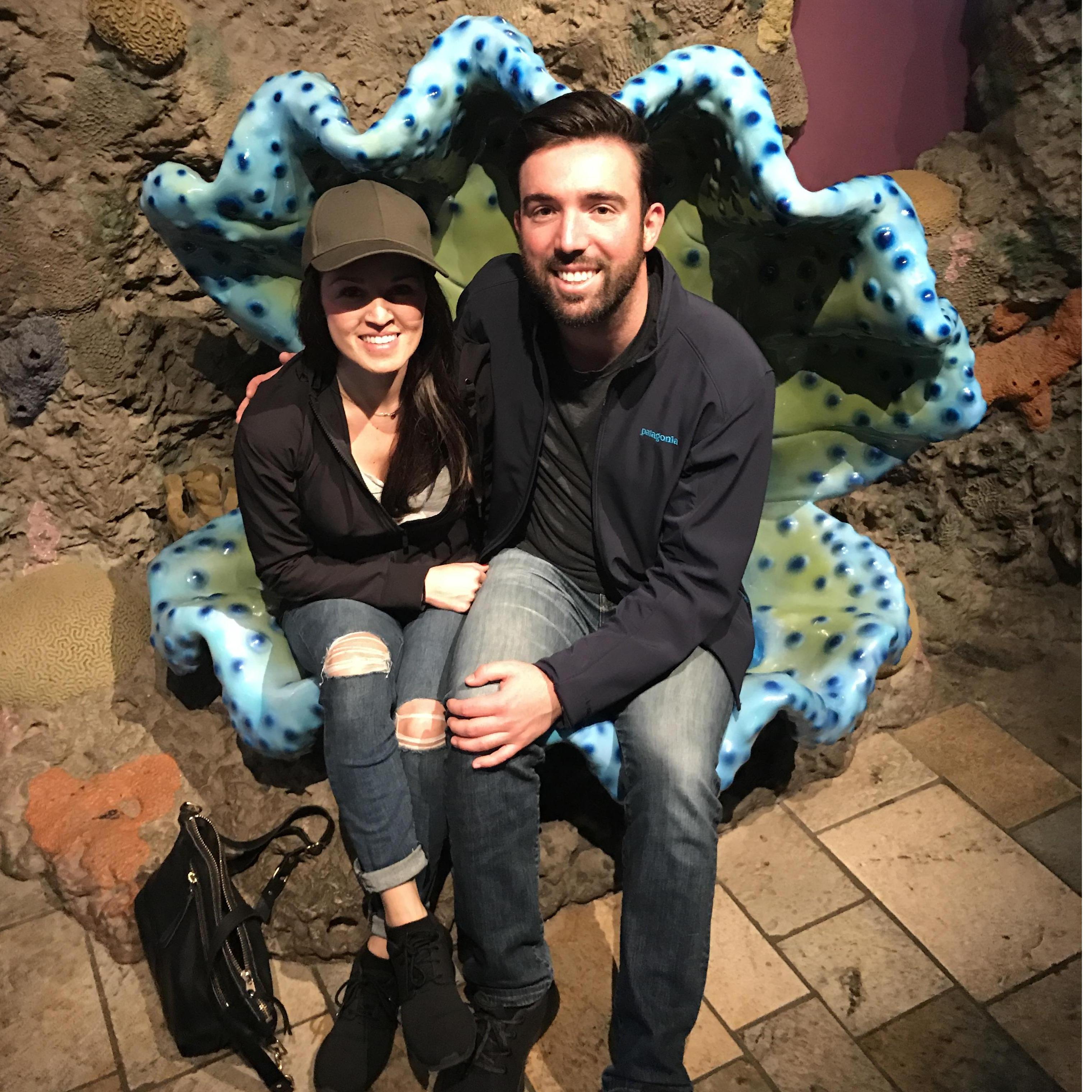 Monterey Bay Aquarium 2017