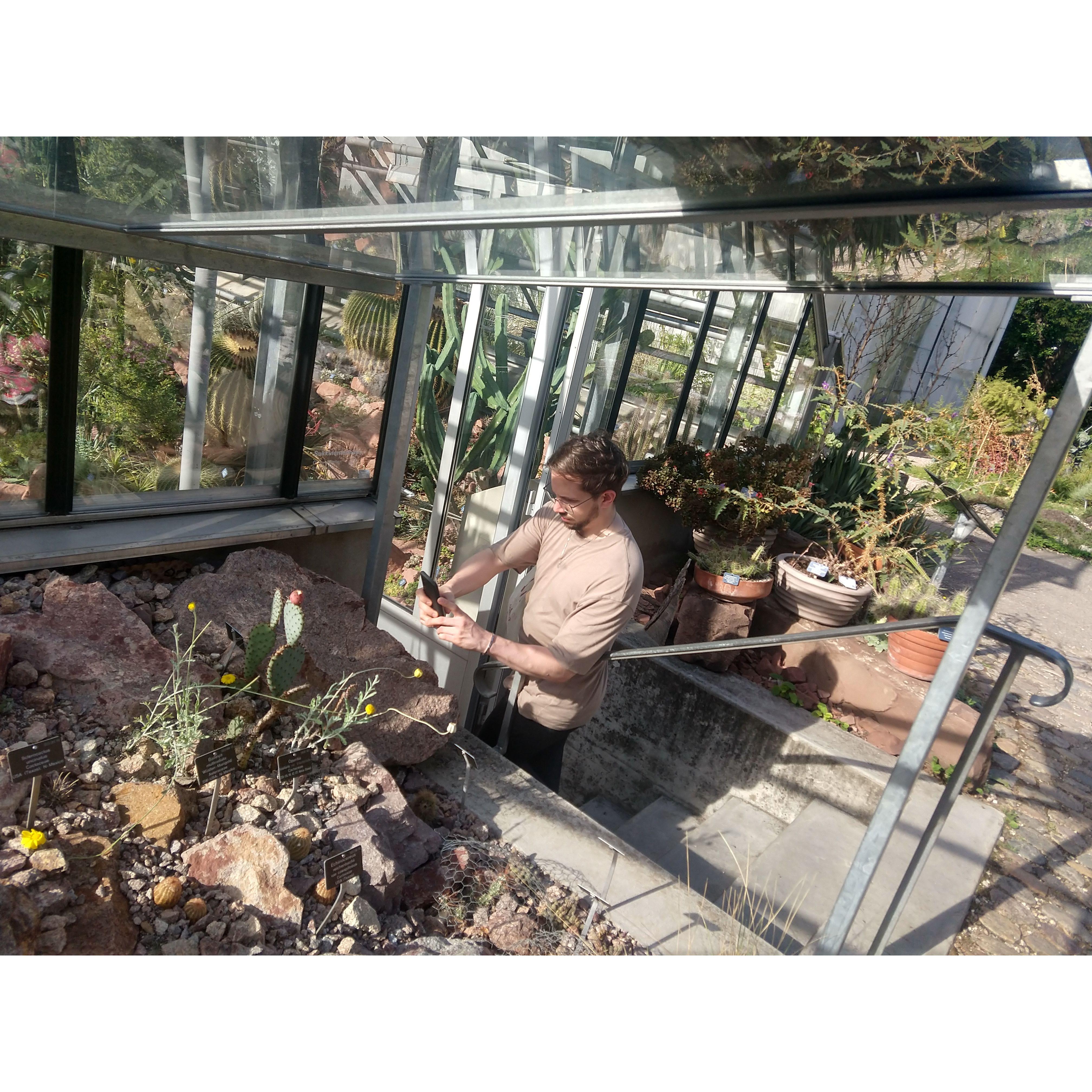 Our first day trips together to Basel, Switzerland. We love going to Botanical Gardens, and this one had an amazing Aloe Collection (one of Sebastian's favorites)
