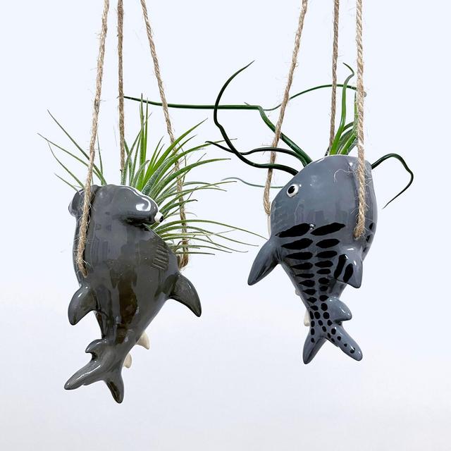 Tiger shark, hammerhead shark & blacktip shark air plant hanger. Ceramic miniature shark pottery. Tillandsia holder