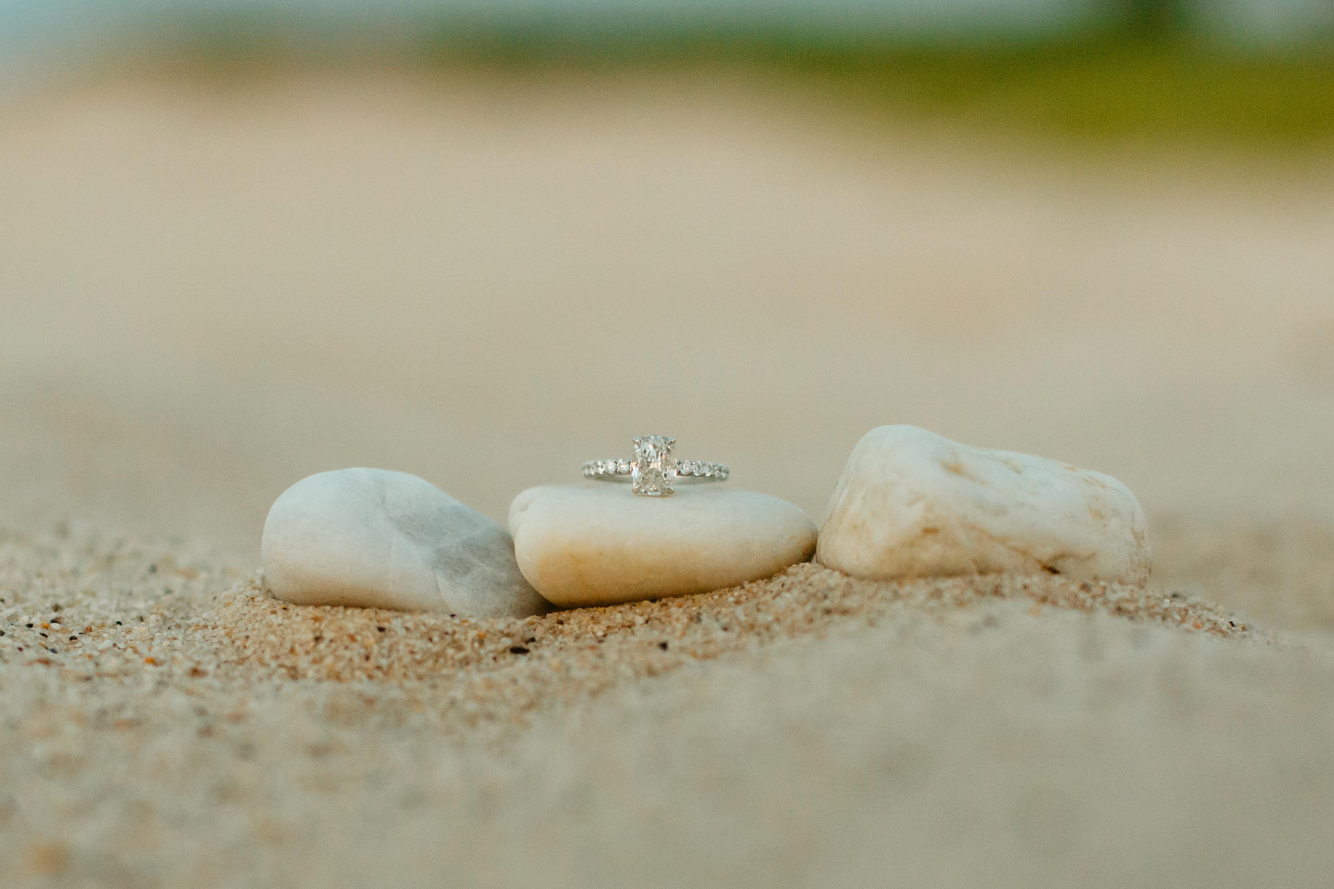 The Wedding Website of Lauren Abruzzo and Phillip Andresen