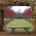 Cox Arboretum MetroPark