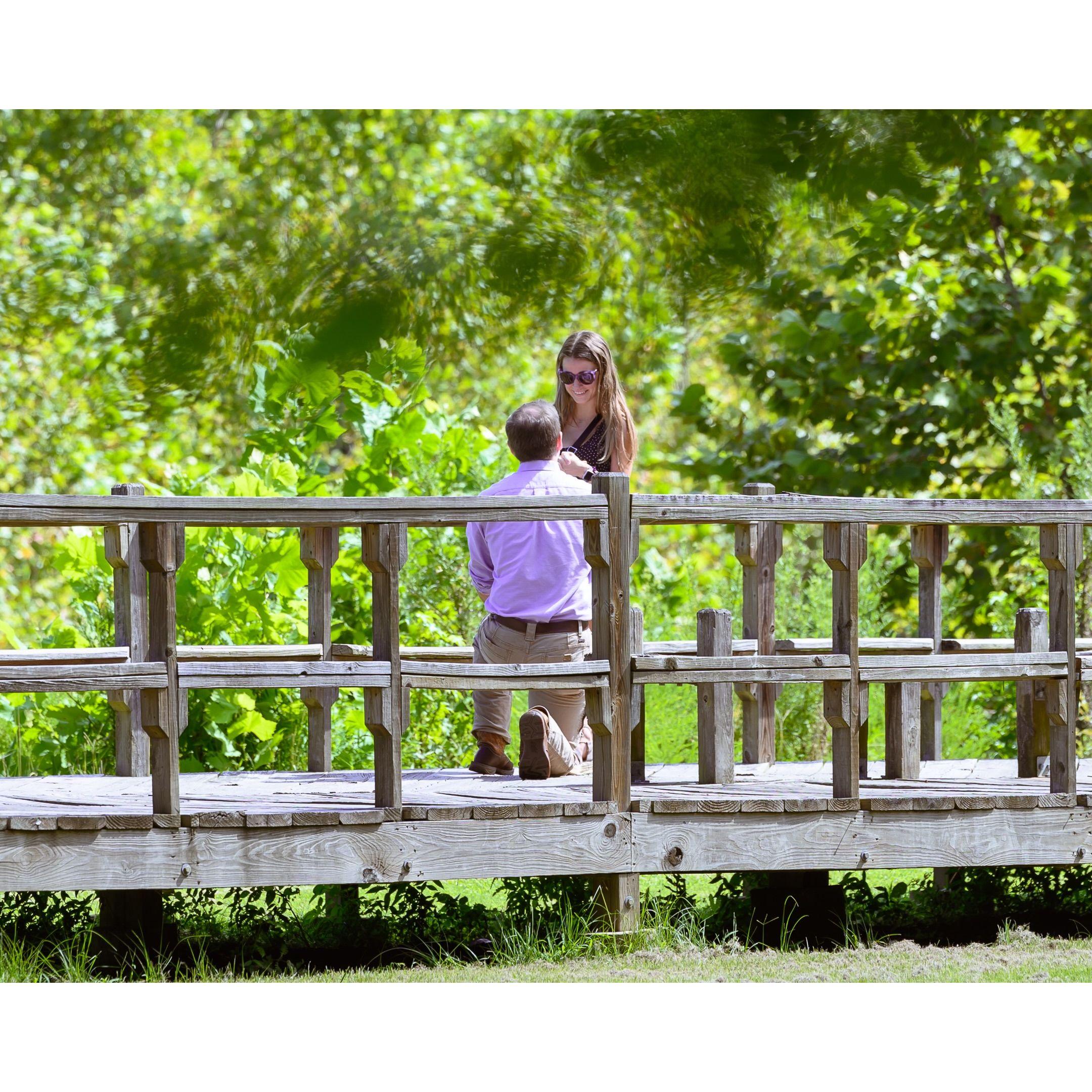 The Proposal