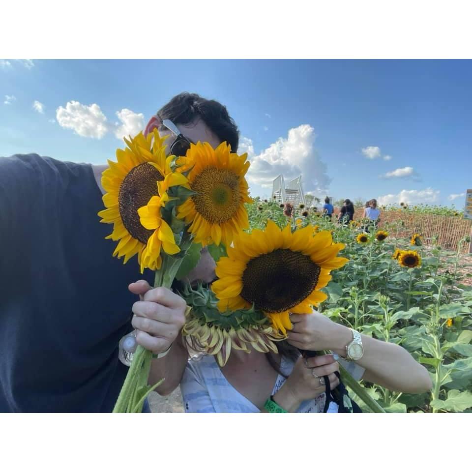 Happy Day Farms- Sunflowers! 🌻🌻🌻🌻