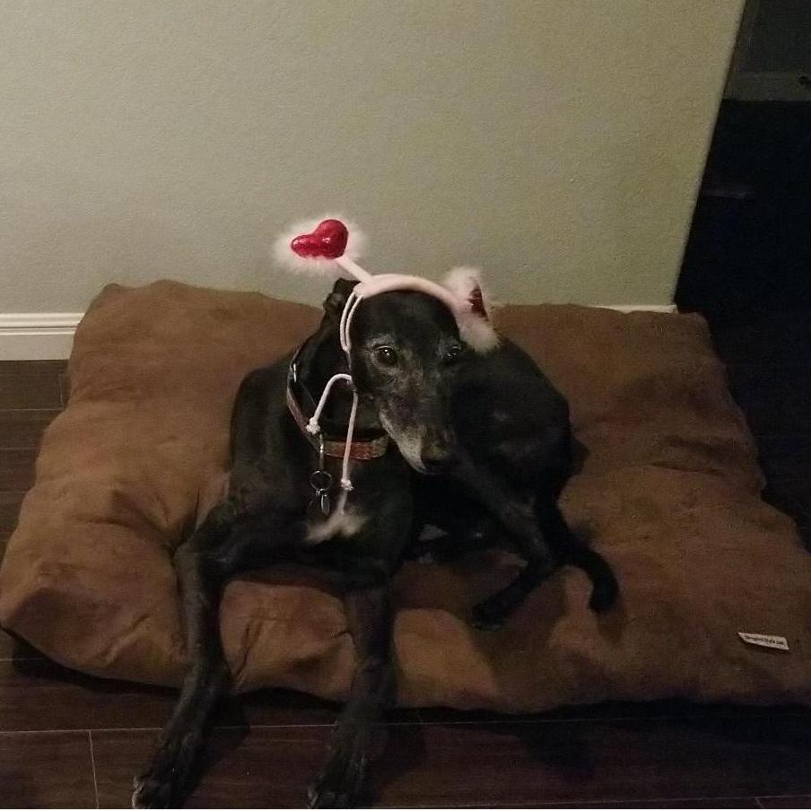 "Mom....why did you do this to me?"