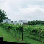 Hocking Hills Winery