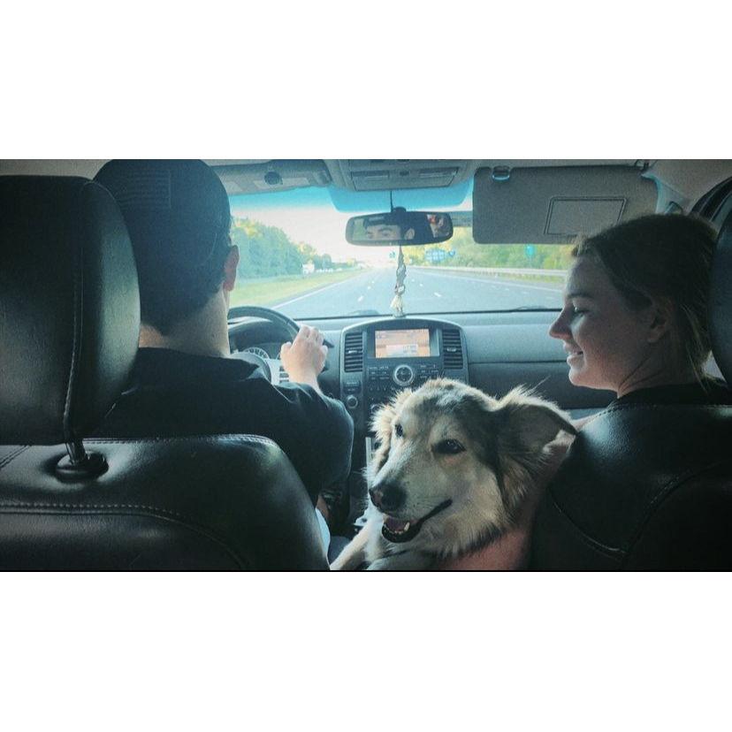 Driving to Mount Tom to hike with our fur baby, Lexi