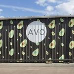 AVO