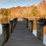 Martinak State Park