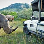 Dinokeng Game Reserve