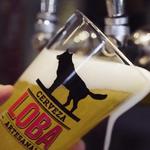 Cerveza Loba