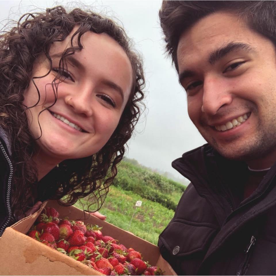 Strawberry picking!