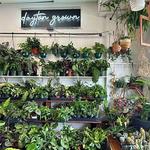 Luna Gifts & Botanicals