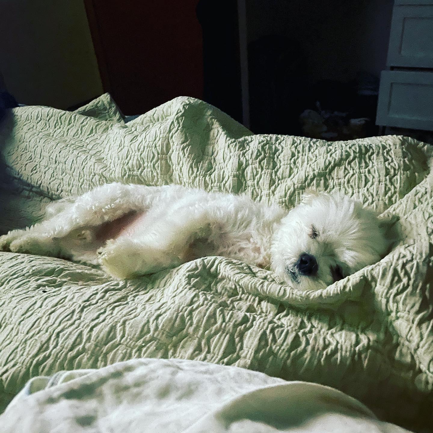 Bubba doing what he does best!