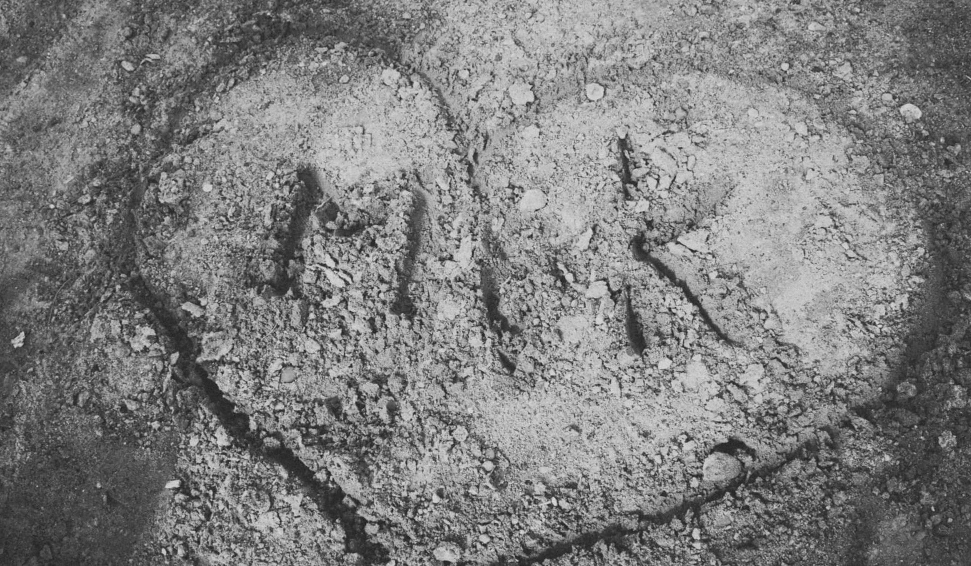 The Wedding Website of Kelsie Anderson and Miguel Fernandez