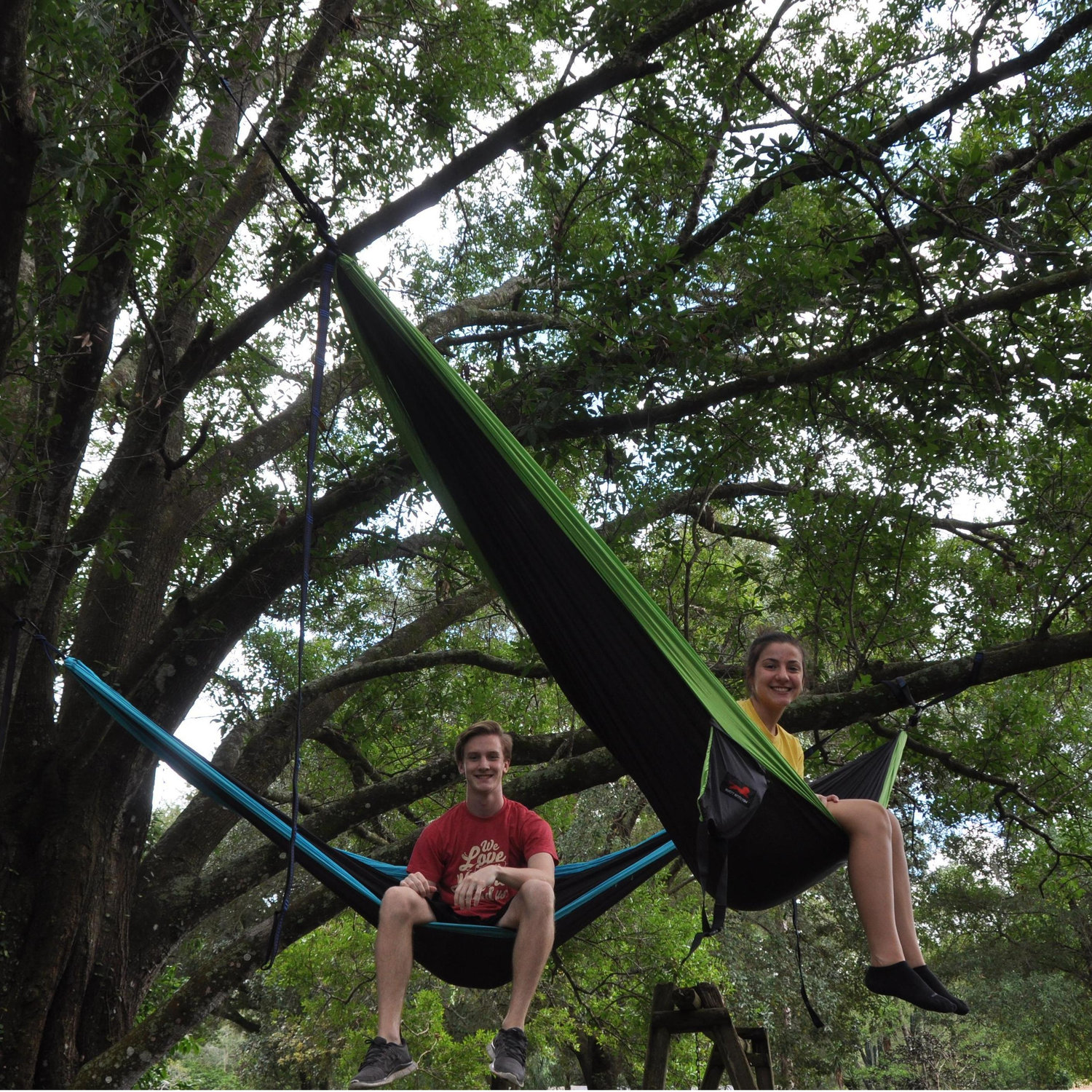 Treetop adventures!