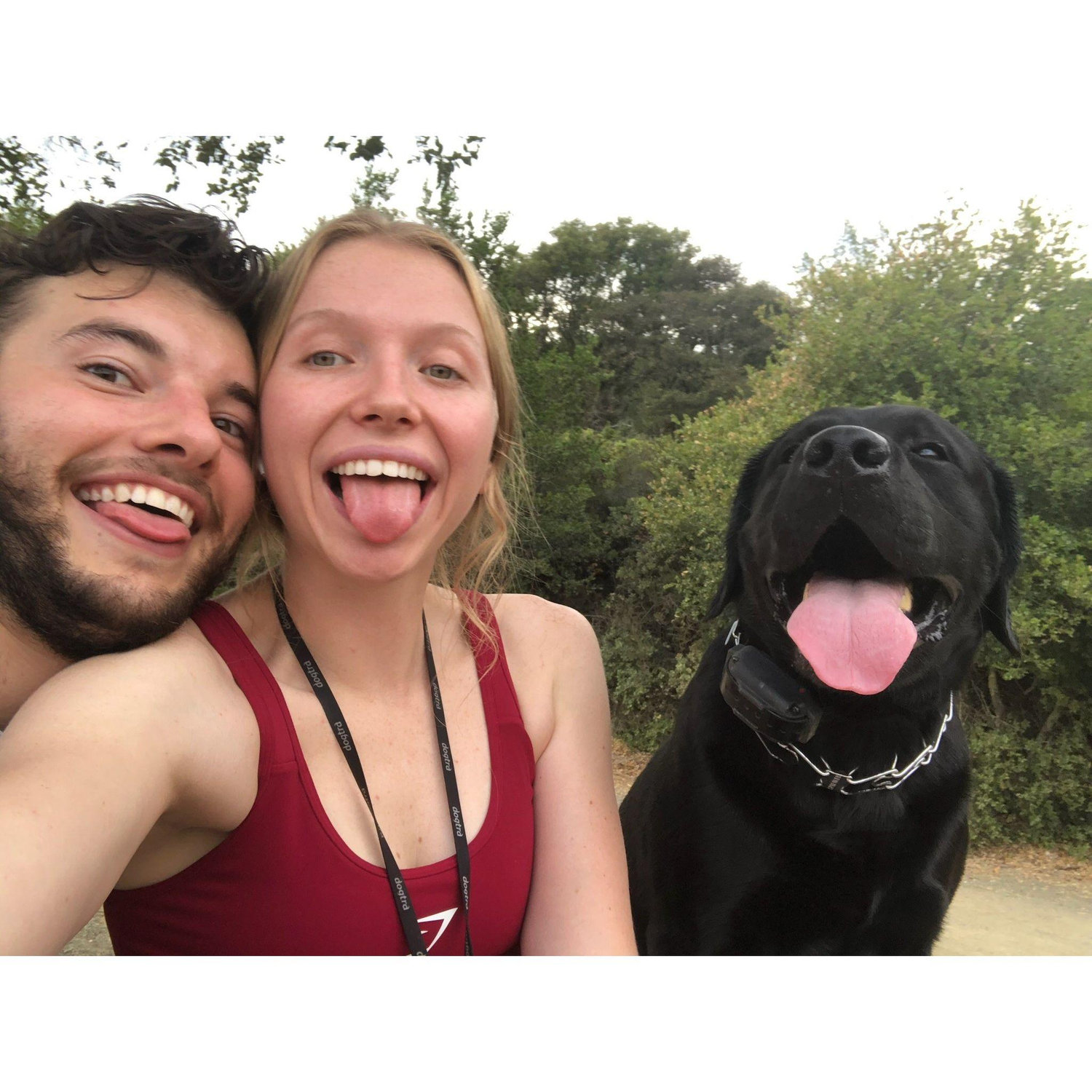 A fun hike with Ace!   Tongues out in 3...2...1
