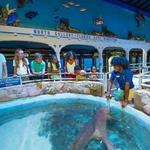 Key West Aquarium