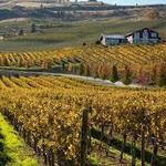 Woodinville Wine Country