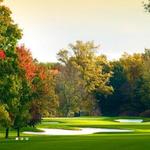 Golf at the Point