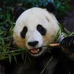 San Diego Zoo