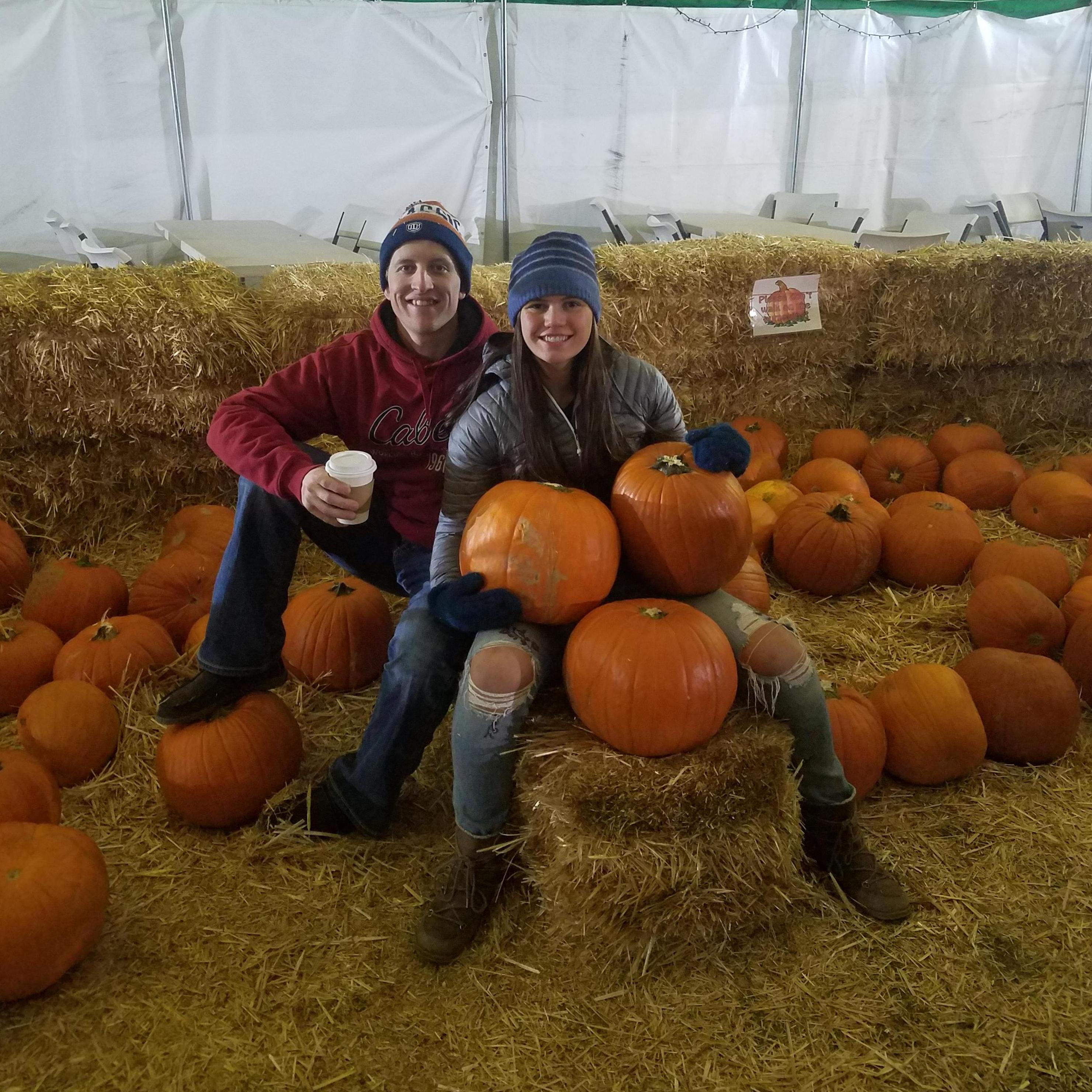 Picking our pumpkins