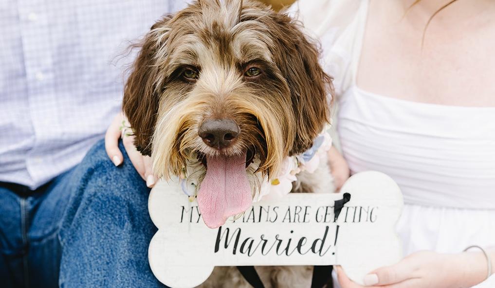 The Wedding Website of Emily Powell and Matthew McCollum