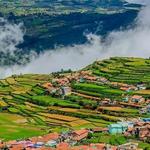 Ooty