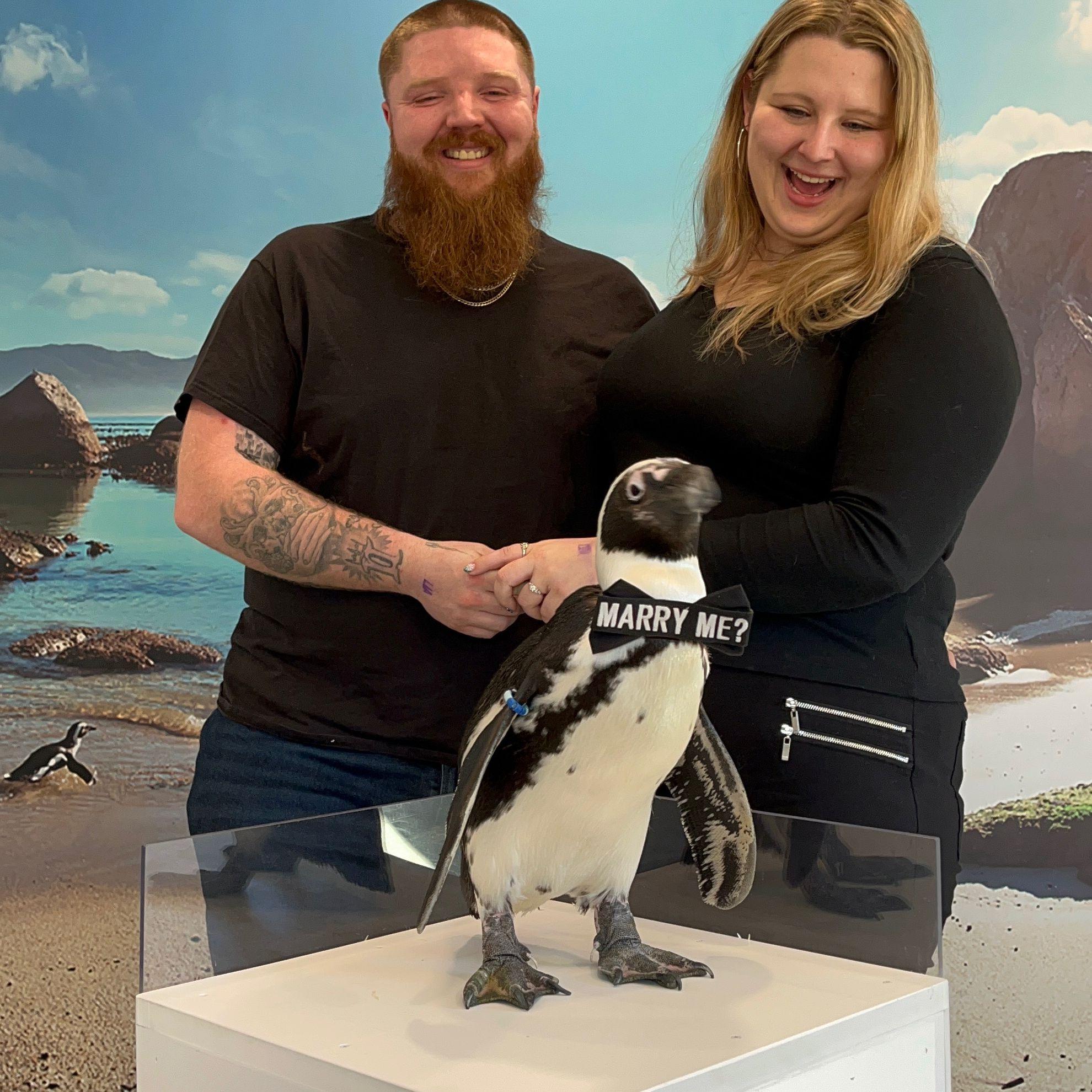 Hero Slideshow Image 0